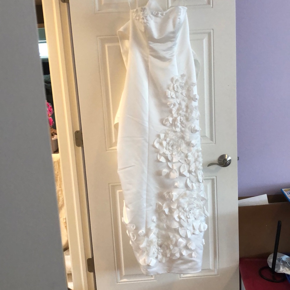 Wedding dress, veil, bra, slip, ribbon belt